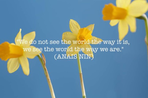 Anais Nin quote on perspective on background of daffodils against a blue sky