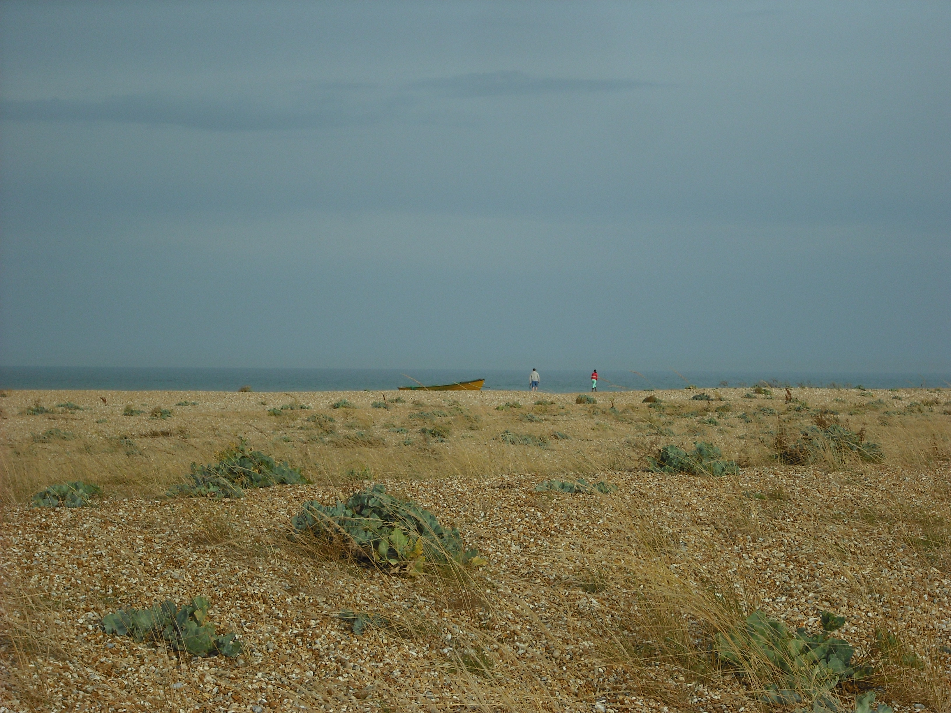 Space above and beyond - looking out to sea at Dugneness