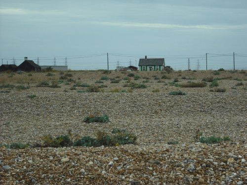 Dungeness view - looking inland at houses and pylons